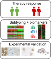 Position scheme.