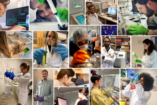 All CanFaster doctoral students showing their every-day scientific activities. Collage.