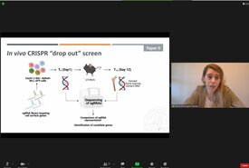 Maria at her halftime presentation. Printscreen.